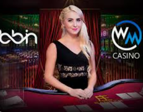 bwin必赢登录入口app官网最新版