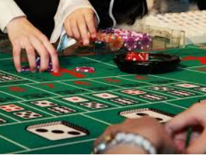 bwin必赢登录入口app官网2024最新版